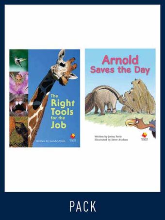 Flying Start Guided Reading Level 22, Pack 3 book cover