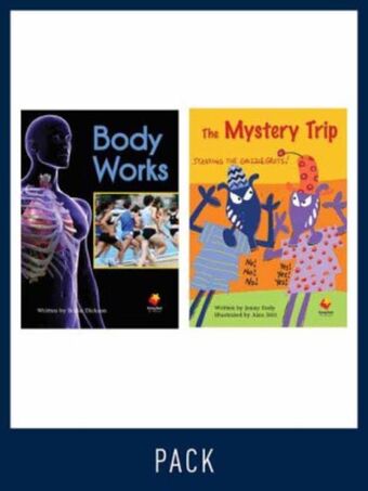 Flying Start Guided Reading Level 23, Pack 3 book cover