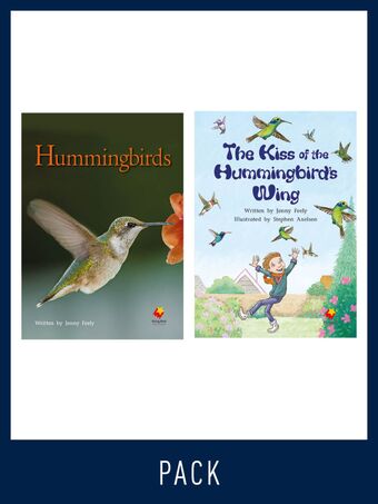 Flying Start Guided Reading Level 23, Pack 1 book cover