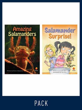 Flying Start Guided Reading Level 25, Pack 1 book cover
