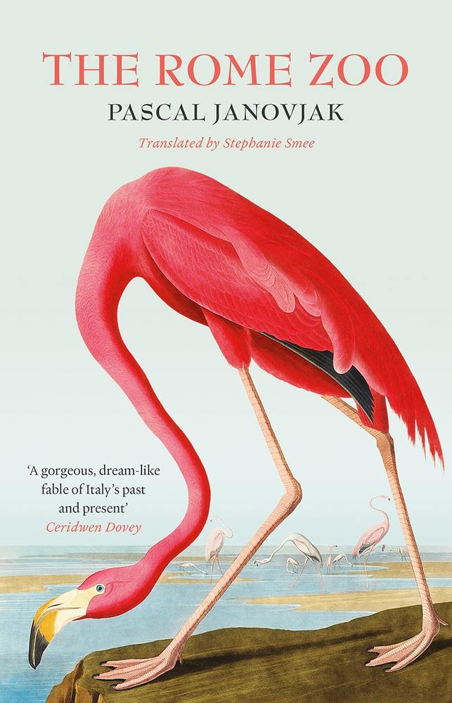 The Rome Zoo book cover