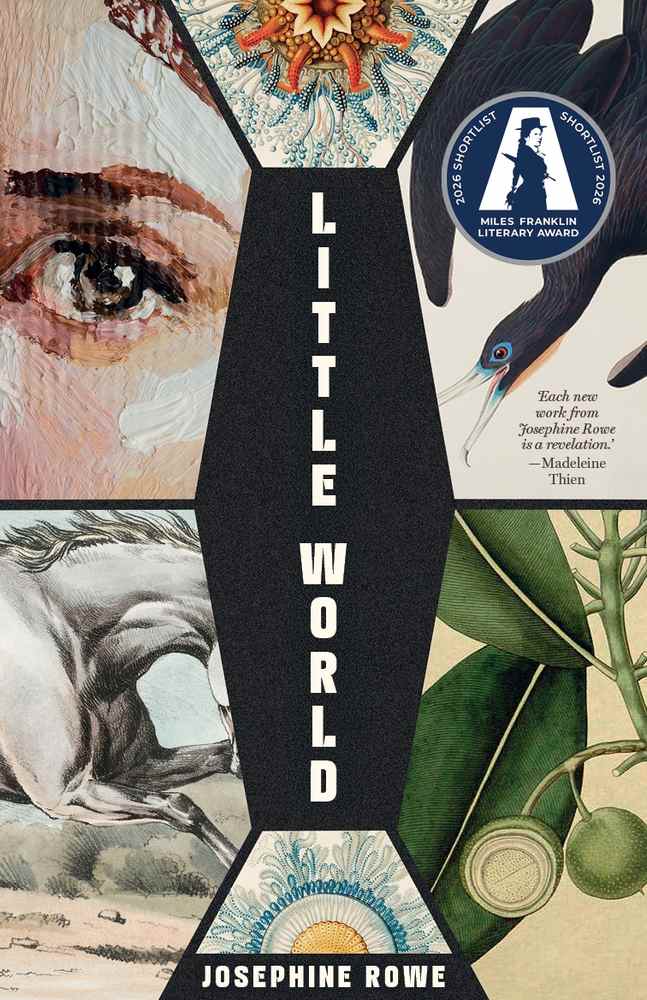 Little World: A Novel book cover