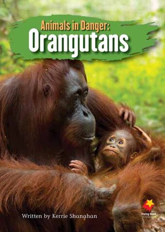 Animals in Danger: Orangutans book cover