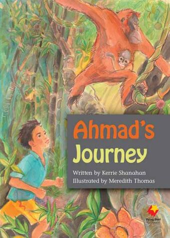 Ahmad? Journey book cover