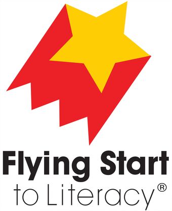 Flying Start to Literacy Level 13 Single Pack book cover