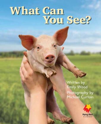What Can You See? book cover
