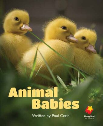 Animal Babies book cover