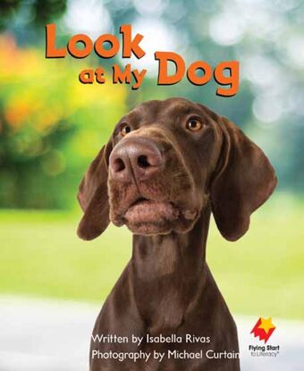 Look at My Dog book cover