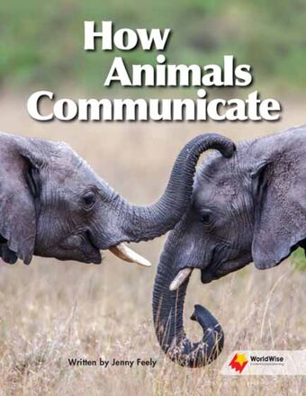 How Animals Communicate book cover