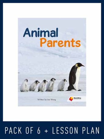 WorldWise Guided Reading Pack Level N, Pack 2 book cover