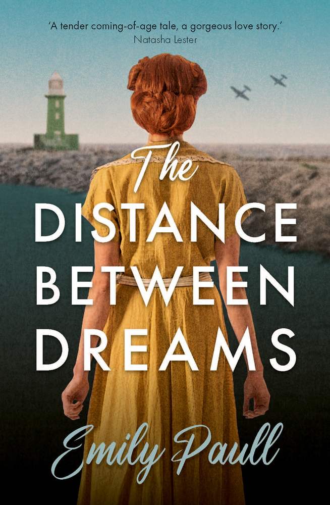 The Distance Between Dreams book cover