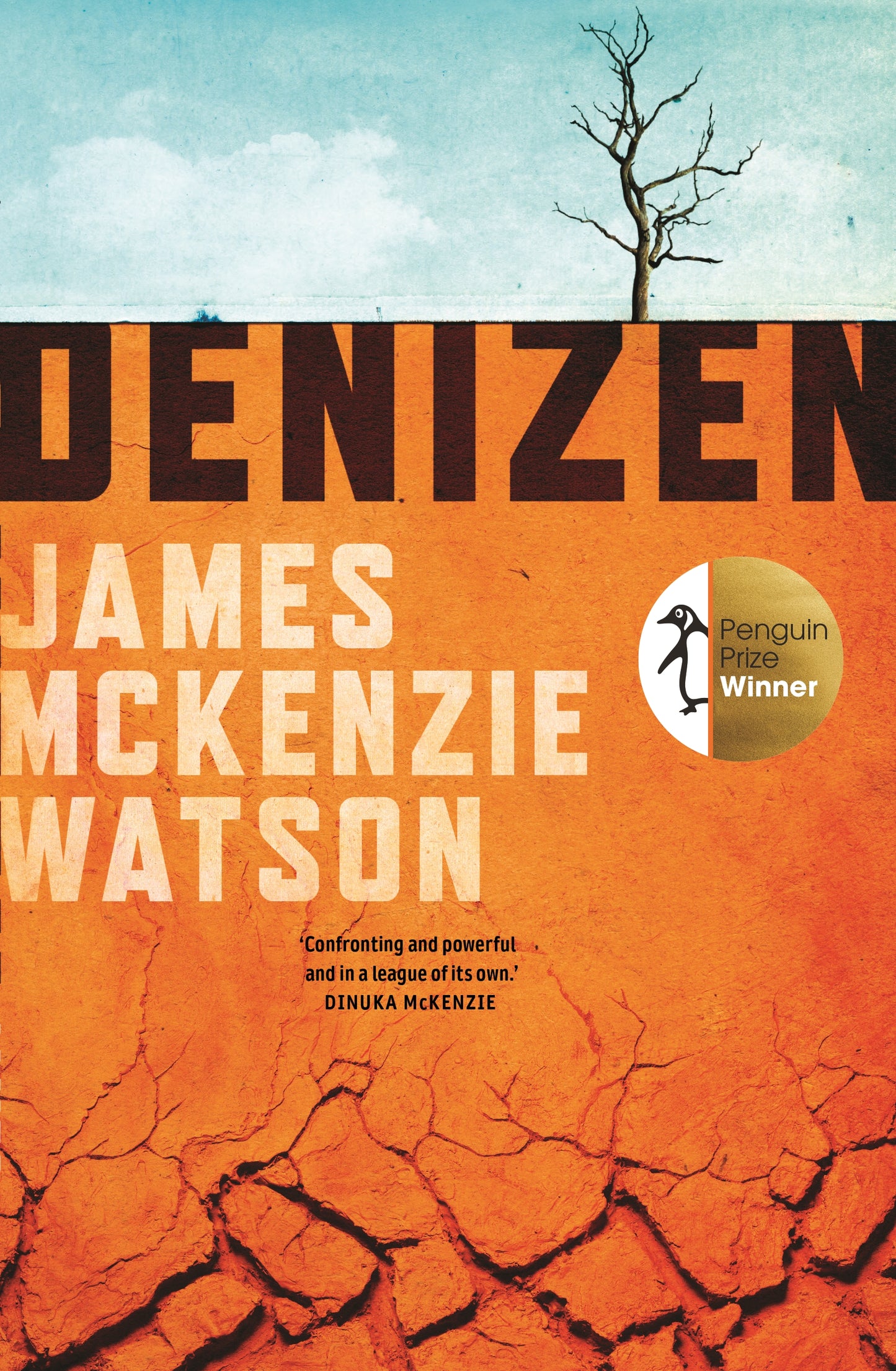 Denizen: Winner of the Penguin Literary Prize