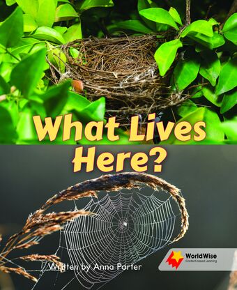 What Lives Here? book cover