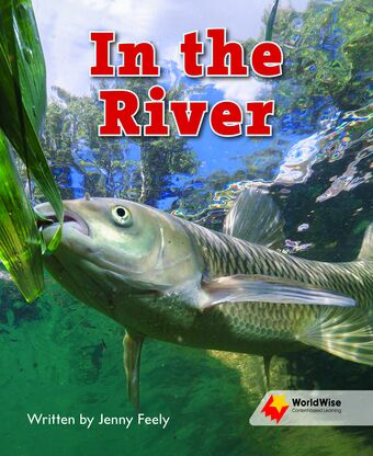 In the River book cover