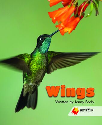 Wings book cover
