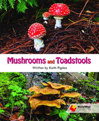 Mushrooms and Toadstools book cover