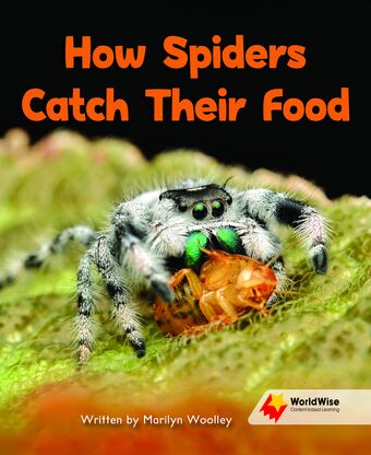 How Spiders Catch Their Food book cover