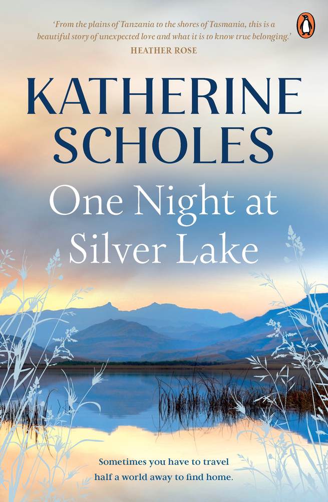 One Night at Silver Lake book cover