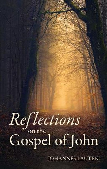 Reflections on the Gospel of John cover