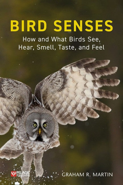 Bird Senses cover
