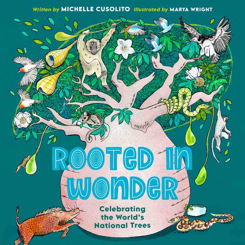 Rooted in Wonder book cover