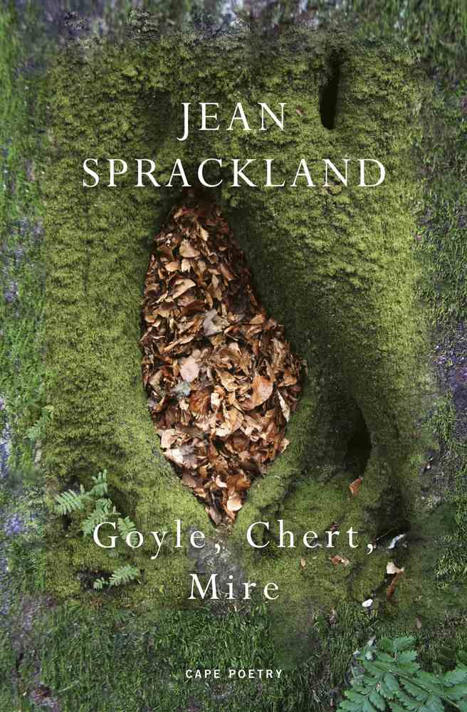 Goyle, Chert, Mire book cover