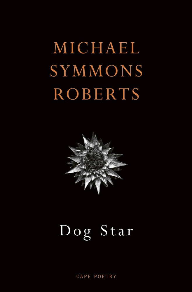 Dog Star book cover