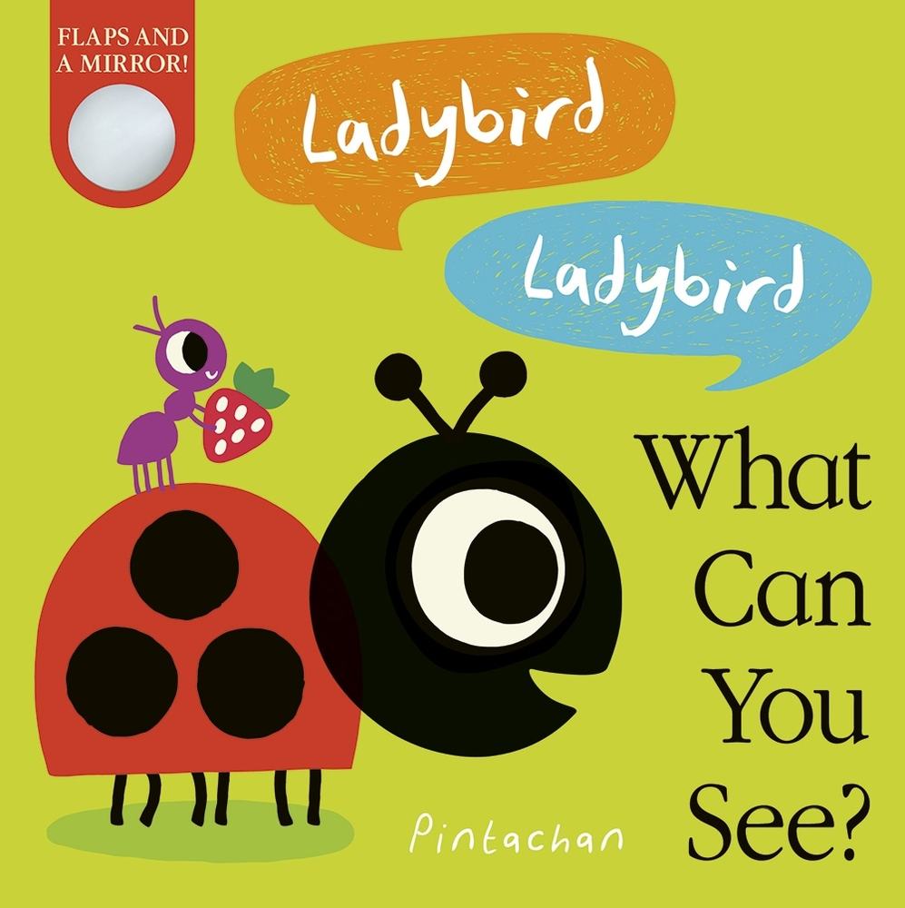 Ladybird! Ladybird! What Can You See? book cover