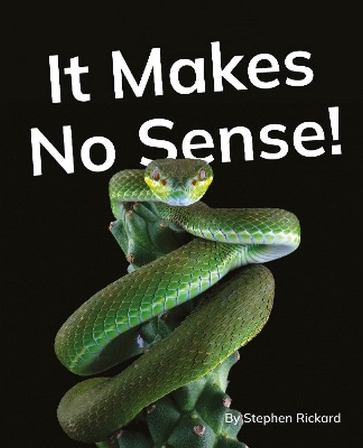 It Makes No Sense! cover
