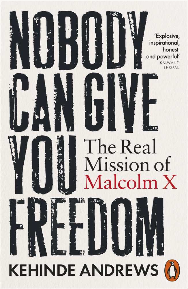 Nobody Can Give You Freedom book cover