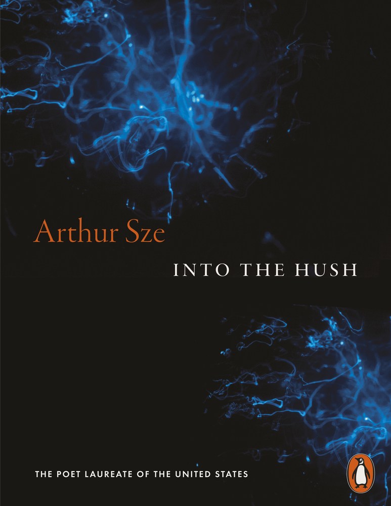Into the Hush book cover