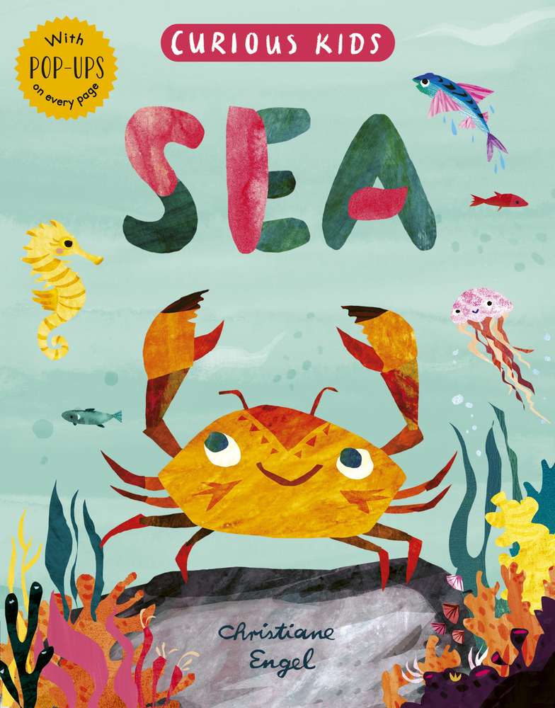 Curious Kids: Sea book cover