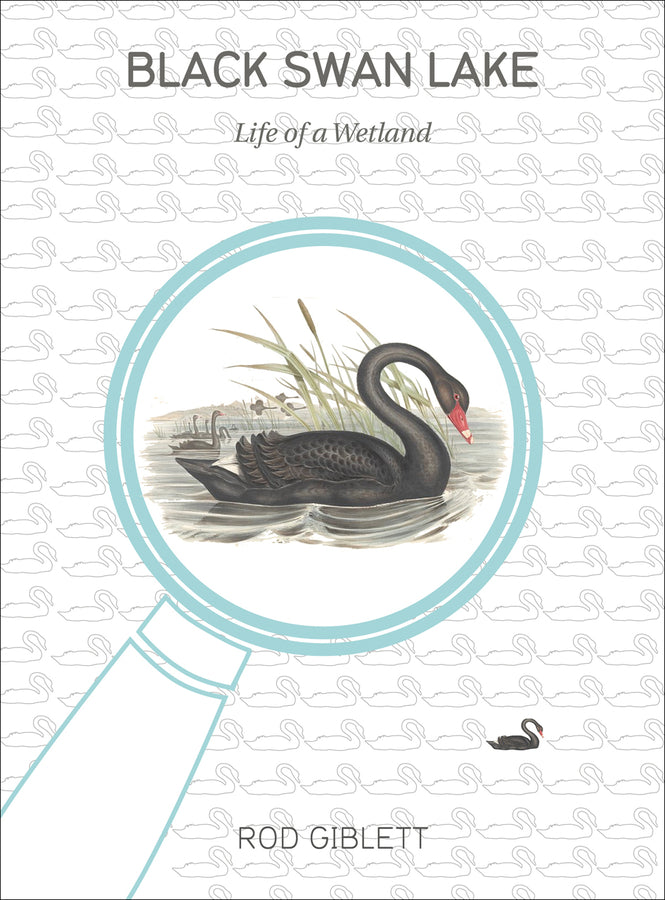 Cultural Studies of Natures, Landscapes and Environments cover