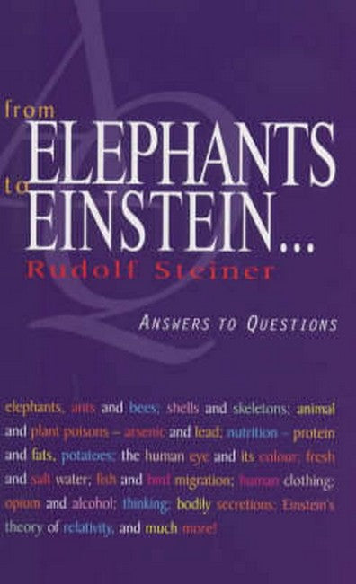 From Elephants to Einstein cover