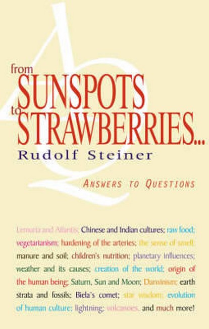 From Sunspots to Strawberries cover