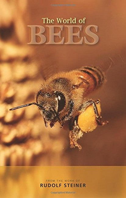 The World of Bees cover