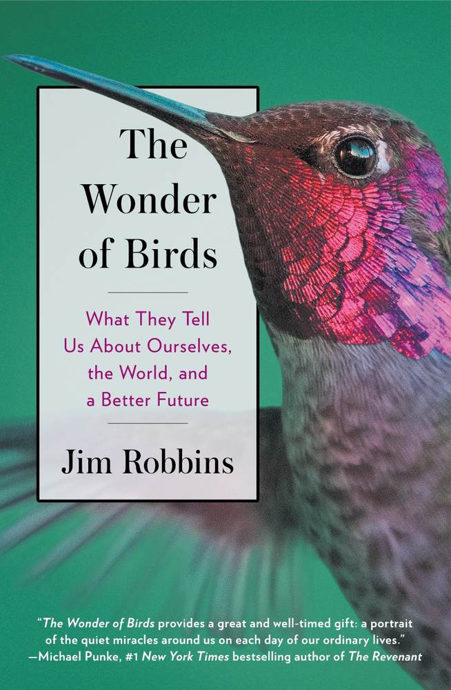 The Wonder of Birds book cover