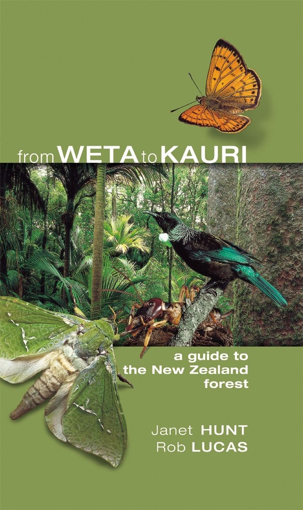 From Weta To Kauri