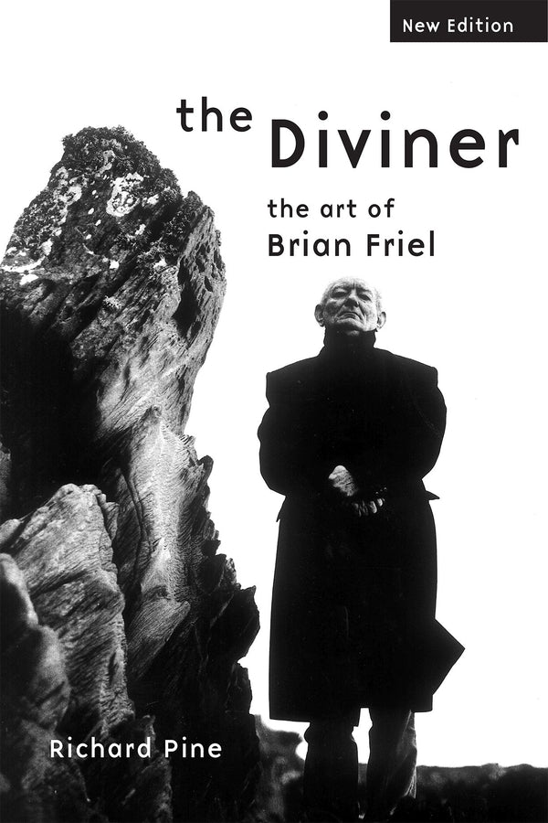 The Diviner: The Art of Brian Friel: The Art of Brian Friel cover