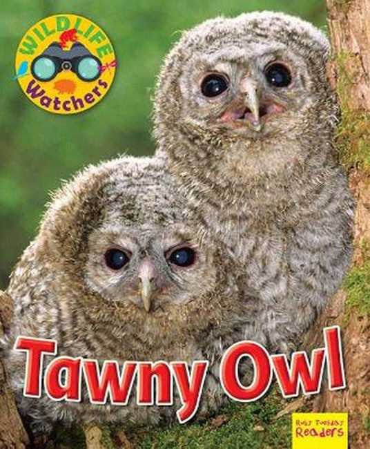 Wildlife Watchers: Tawny Owl cover