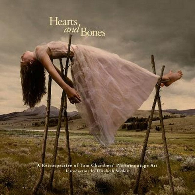 Hearts and Bones cover