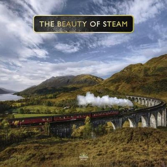 Beauty Of Steam cover