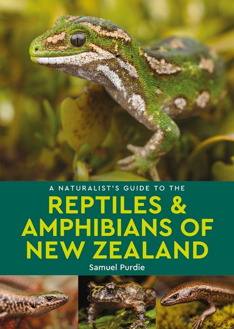 A Naturalist's Guide to the Reptiles & Amphibians Of New Zealand cover