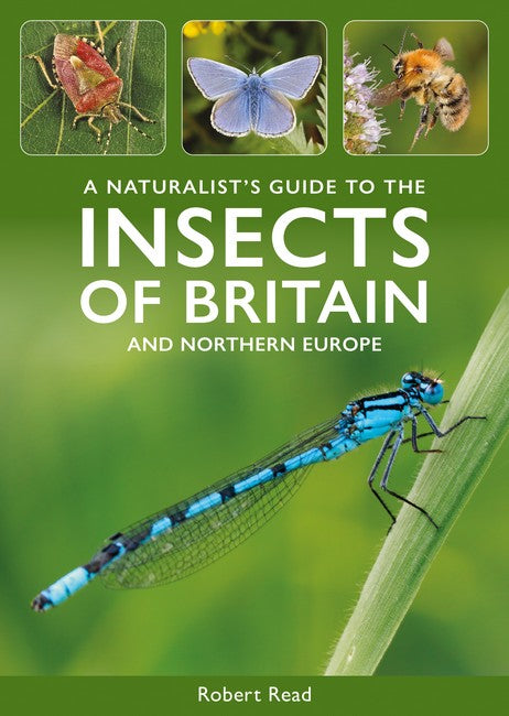 A Naturalist's Guide to the Insects of Britain and North-West Europe cover