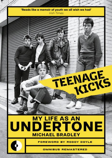 Teenage Kicks cover