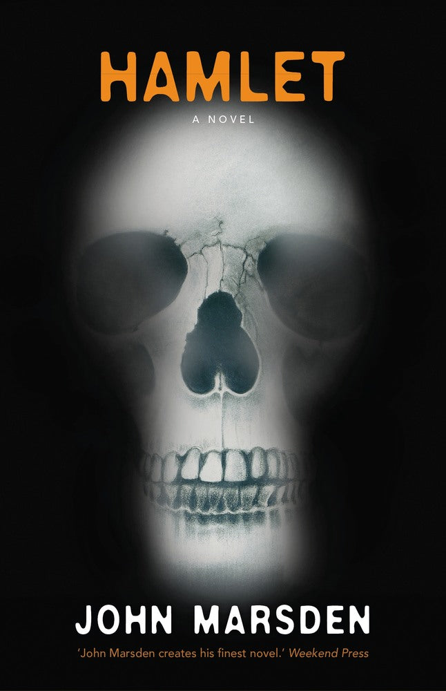 Hamlet, A Novel book cover