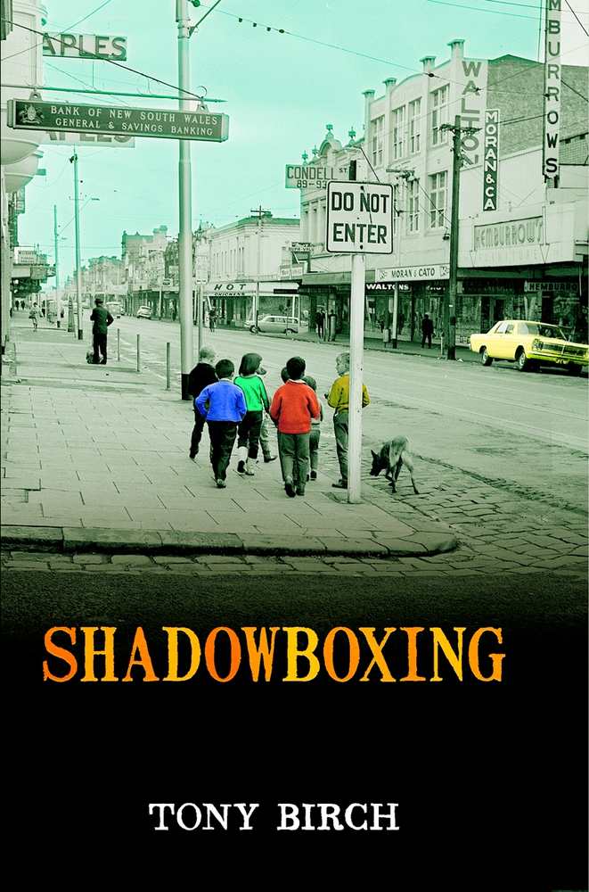 Shadowboxing book cover