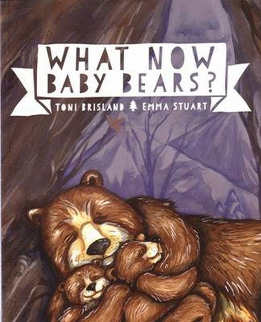 What Now Baby Bears? cover