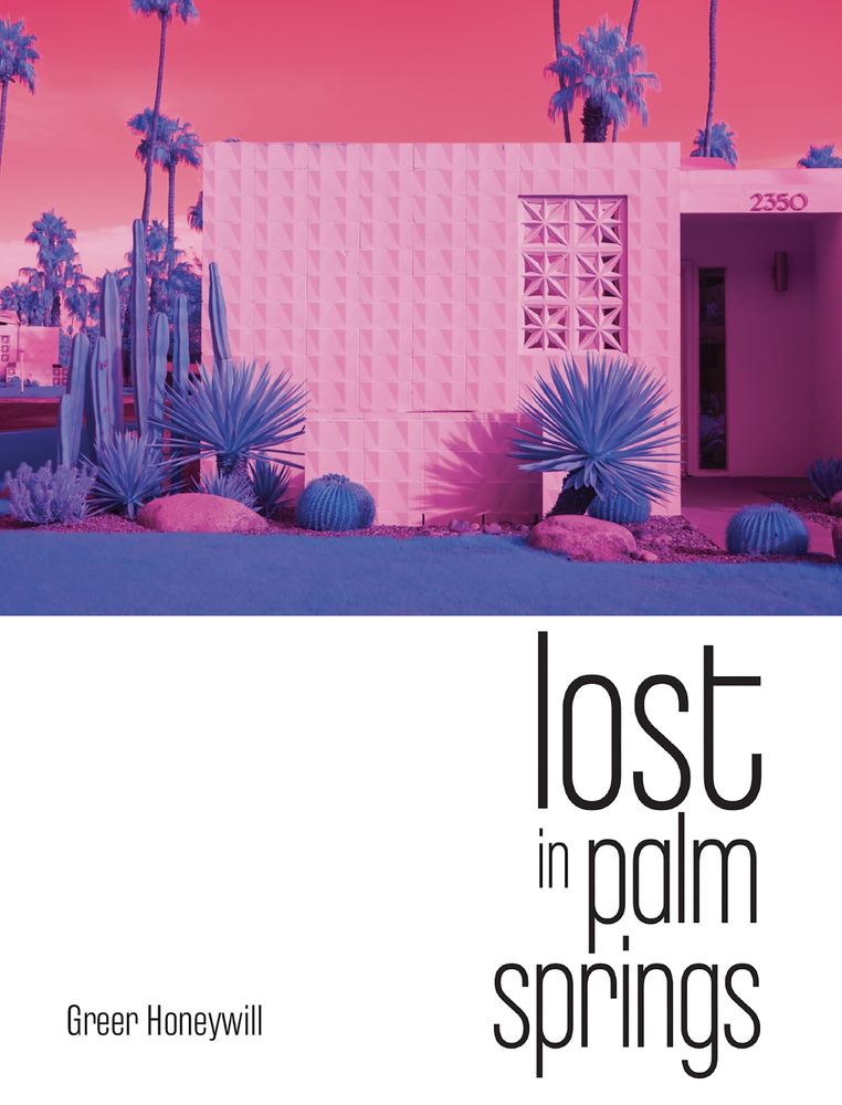 Lost in Palm Springs book cover