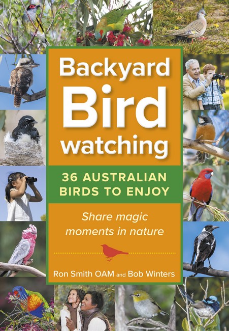Backyard Birdwatching (Updated Version) cover
